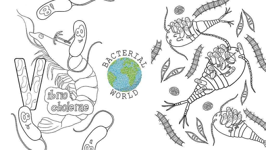 hand-crafted illustrations from the colouring book showing Vibrio cholerae